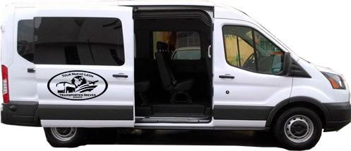 Camioneta Transit